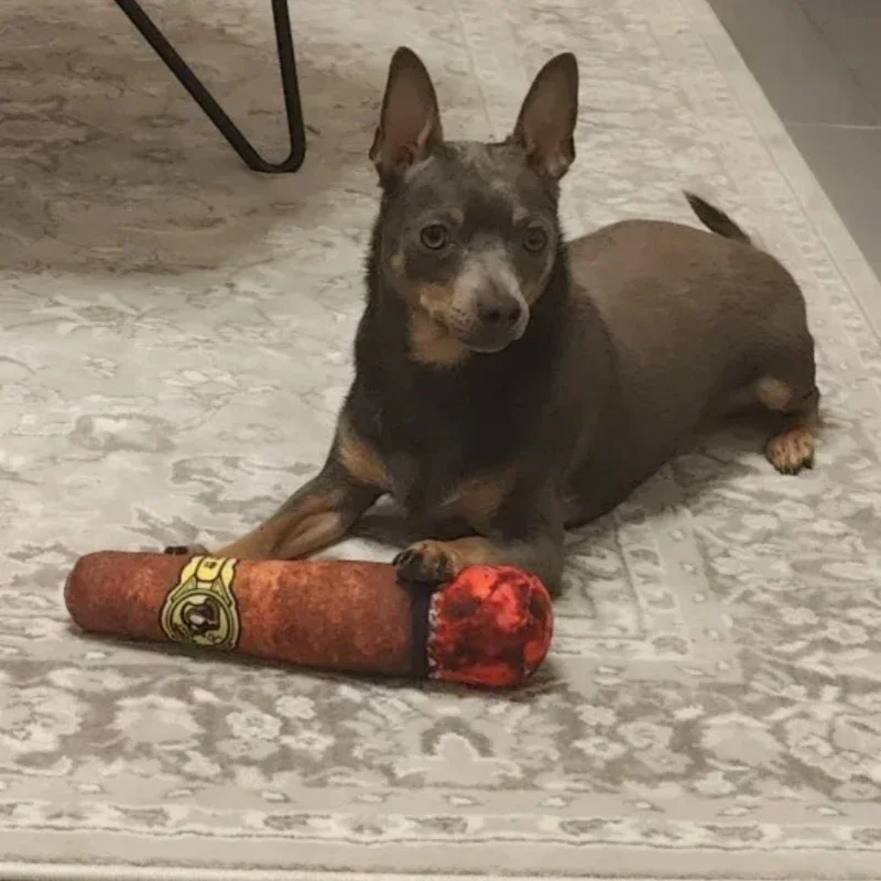 Interaktives Hundespielzeug mit Geräuscheffekt, Zigarrenform für kleine Hunde, widerstandsfähiges Quietschspielzeug, unzerstörbares Plüsch-Kauspielzeug, Beißspielzeug für Haustiere – Detail 4