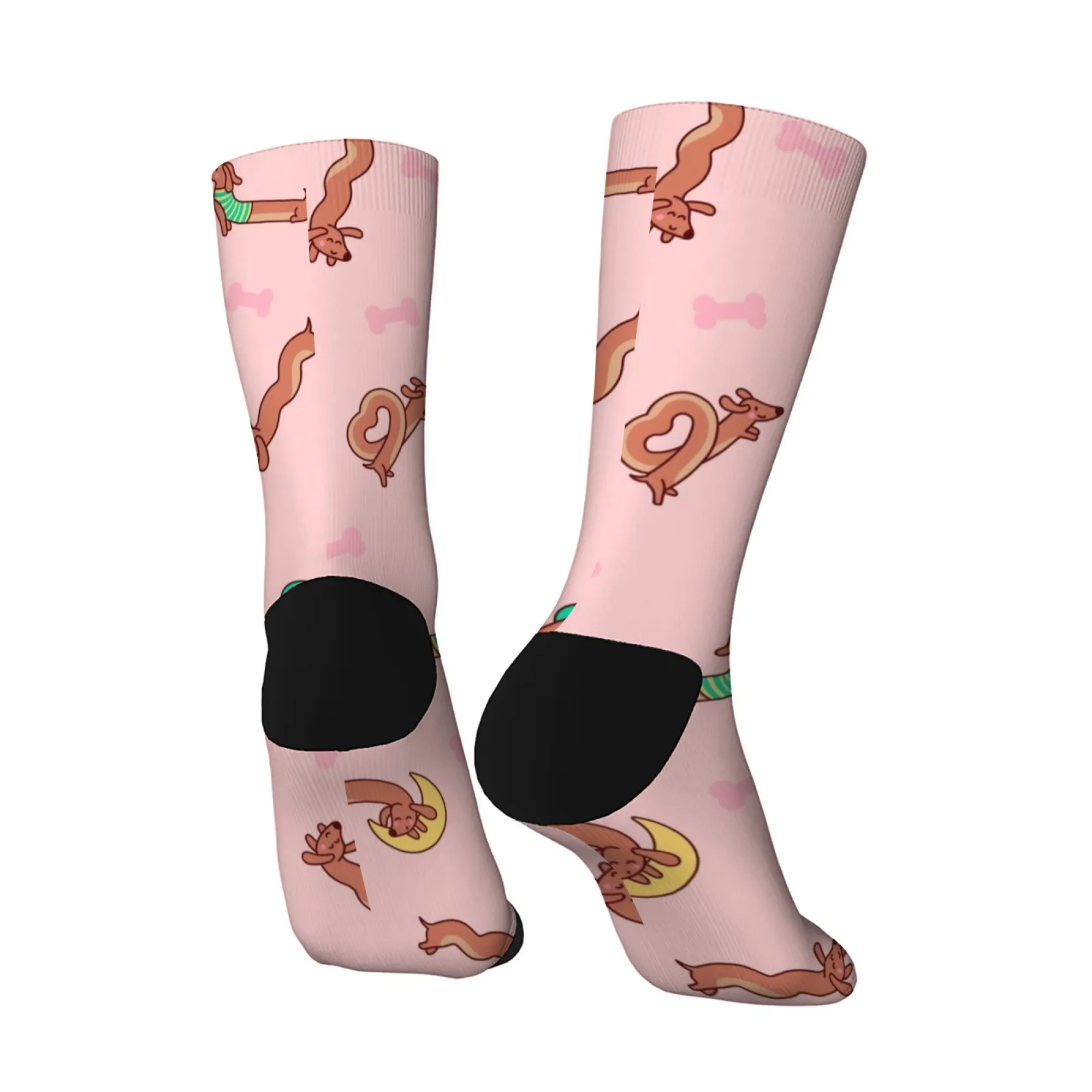 참신하고 귀여운 만화 닥스훈트 크루 양말 편안한 양말 통기성 양말 일상 착용 야외 활동용 재미있는 선물 사계절용