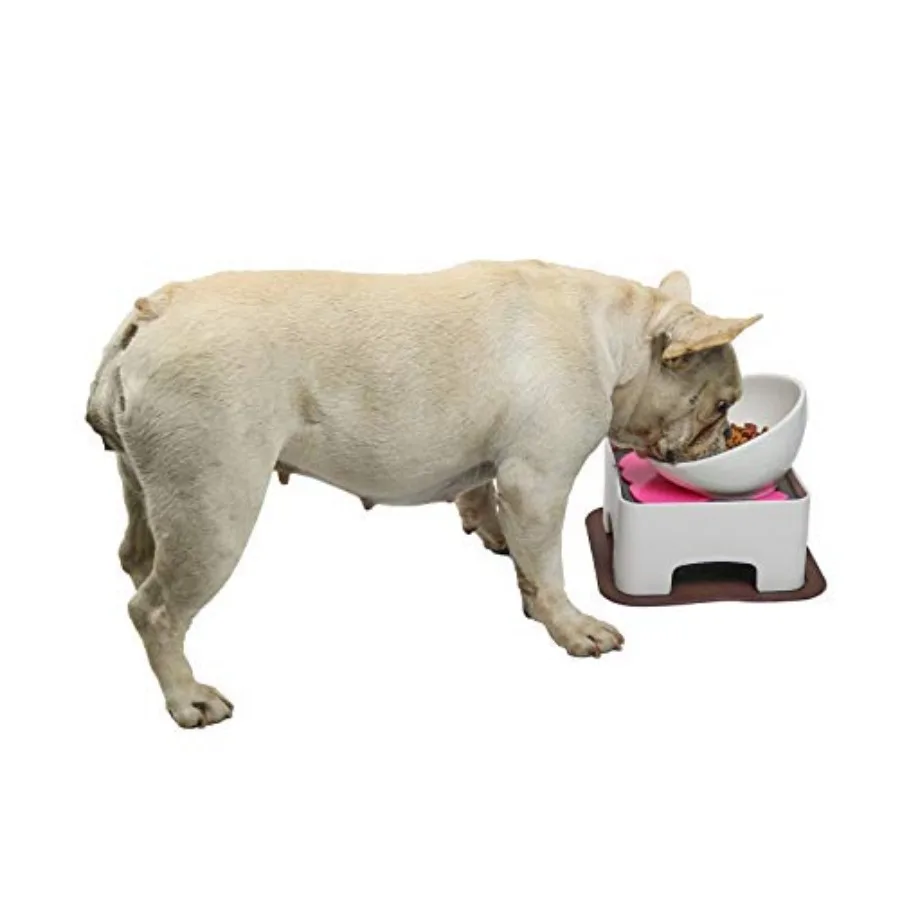 

Raised Ceramic Dog Feeding BowlAdjustable Elevated Dog Bowls Set Anti-Slip Standing Pet Feeding Dish for Small Medium Dogs and
