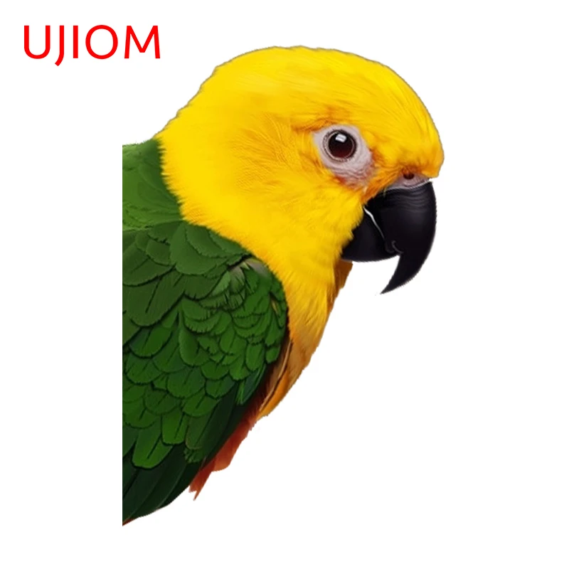 UJIOM 13cm X 8.7cm Peeking Parrot Cute Animals 3D Wall Stickers Kids Home Decor Windows Decal Baby Nursery Room Wallpapers