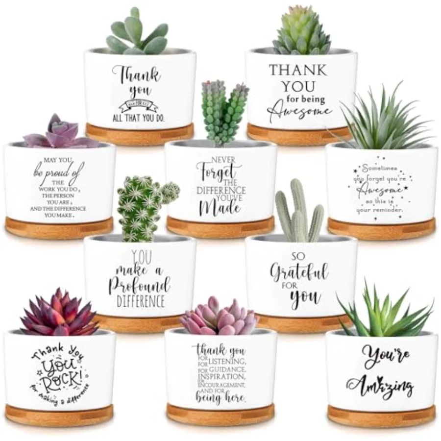 

Набор подарков для сотрудников: суккуленты в керамических горшках с бамбуковыми подставками для женщин