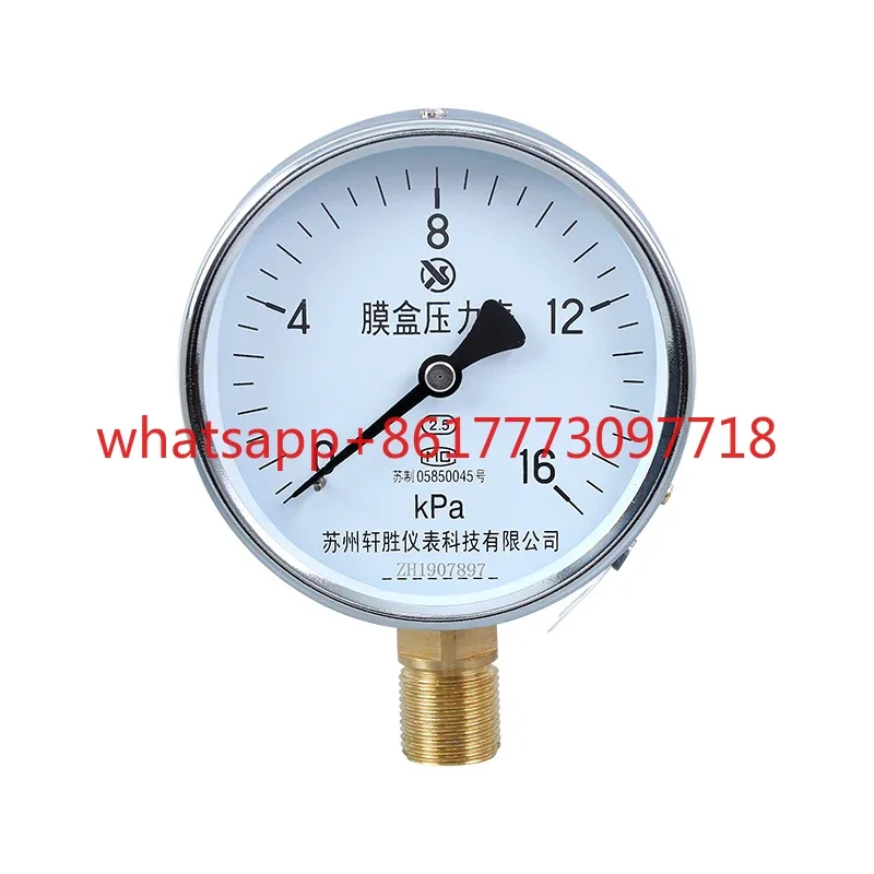 YE-100 Diaphragm Pr…