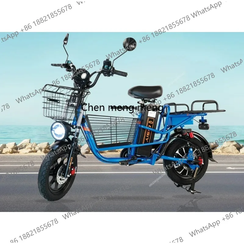 Electric Delivery Bike Popular Supplier 1000w 800w Electric Motor Bike Fast Electric Bicycles for Adults