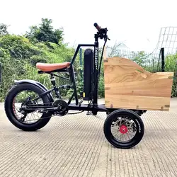 Mini vélo électrique pour adultes et enfants, tricycle électrique, vélo cargo familial, 20 pouces, 48V, 500W, 750W