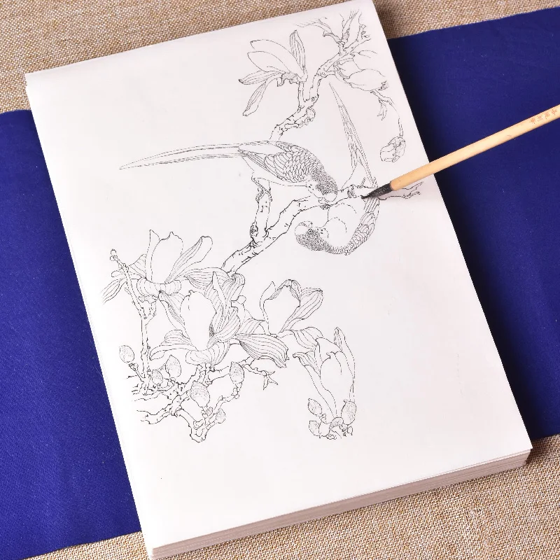 Professional Line Drawing Practice Manuscript Special Ripe Xuan Paper Chinese Painting Coloring Line Draft Beginnner Art Supply