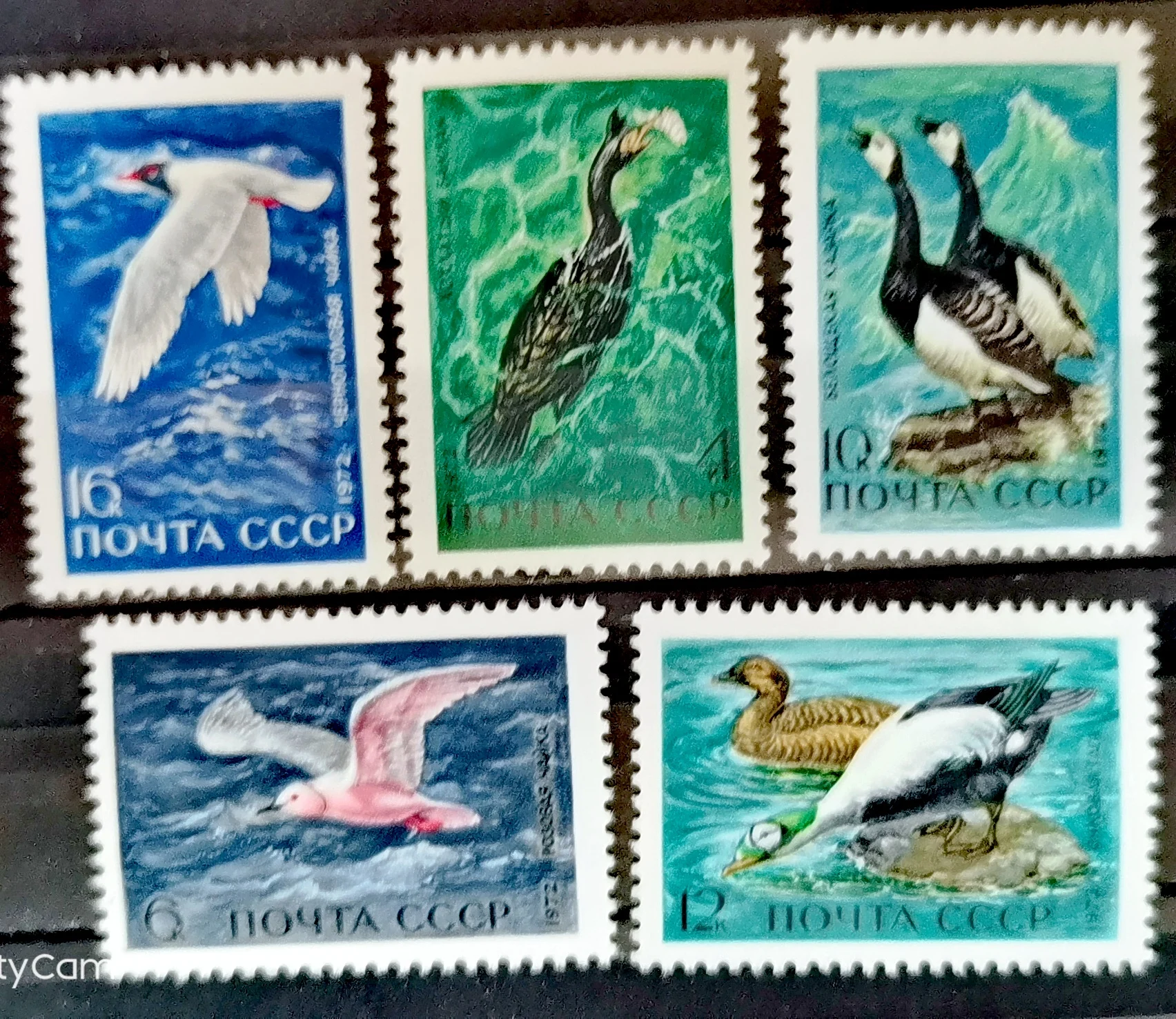 

5Pcs/Set New USSR CCCP Post Stamp 1971 Coastal Birds Postage Stamps MNH