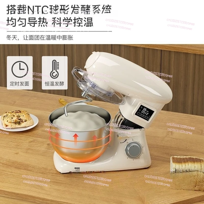 ماكينة تخمير ومعكرونة منزلية صغيرة أوتوماتيكية بالكامل، ماكينة ضغط المعكرونة متعددة الوظائف، خلط المعكرونة