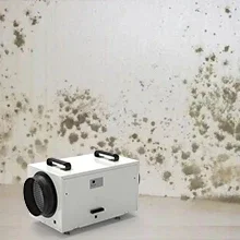 Promotion 70 PPD Commercial Crawl Space Basement Water Damage Restoration Dehumidifier