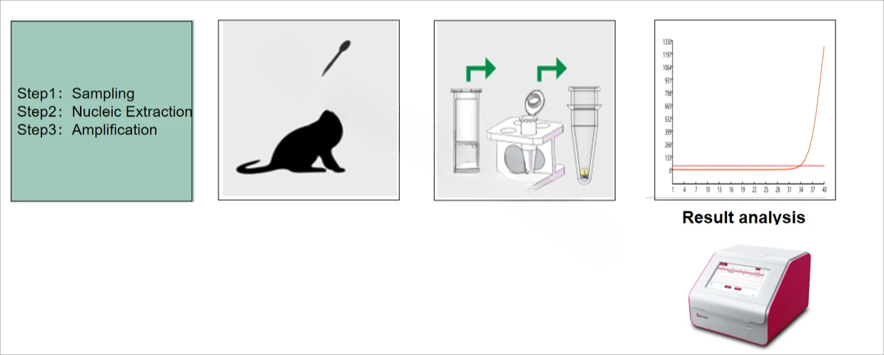 Genrui Veterinary/Animal Fluorescence Quantitative PCR Amplification Instrument