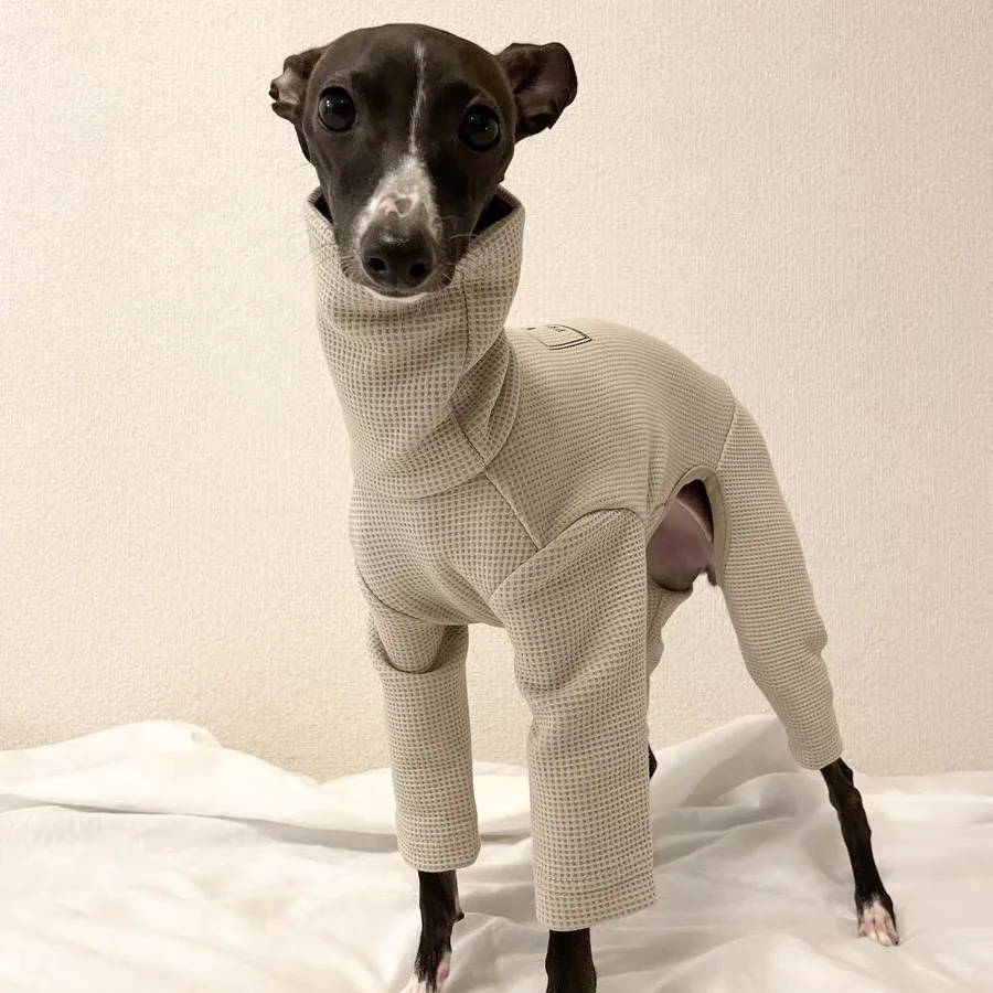 Dog Clothing Soft Green Waffle High-neck 4-legged Coat For Little Greyhound Spring Sweatshirt for Small Mid Puppy Poodle Dogs