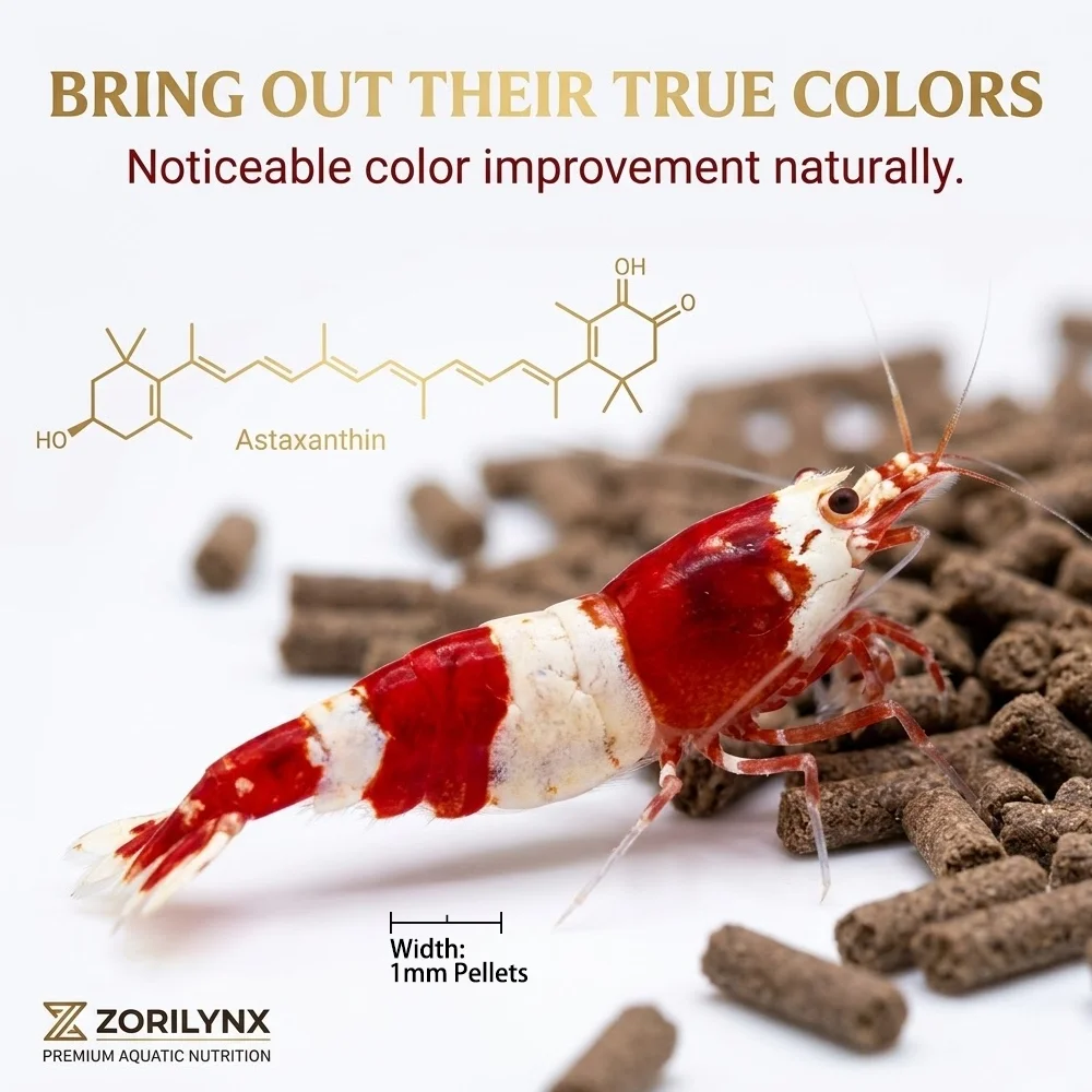 Nährstoffreiches Garnelenfutter Sinkende Pellets Hochprotein Calciumreiches Futter für Kristallrote Kirschgarnelen Aquarium ZORILYNX – Detail 4