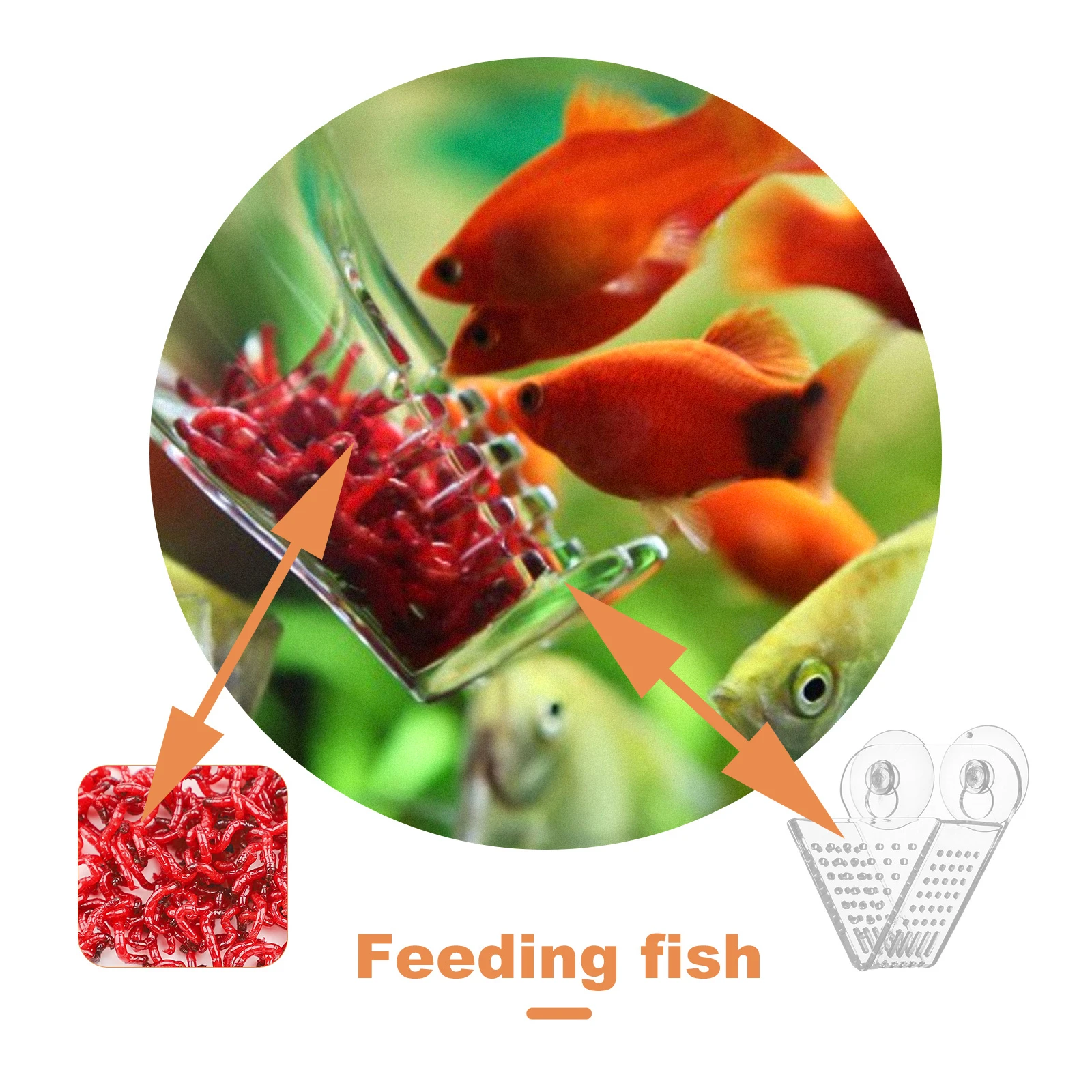 

Aquarium Feeder Durable Acrylic Terrarium Tool For Freshwater Saltwater Tanks Fish Food Cup Easy Cleaning