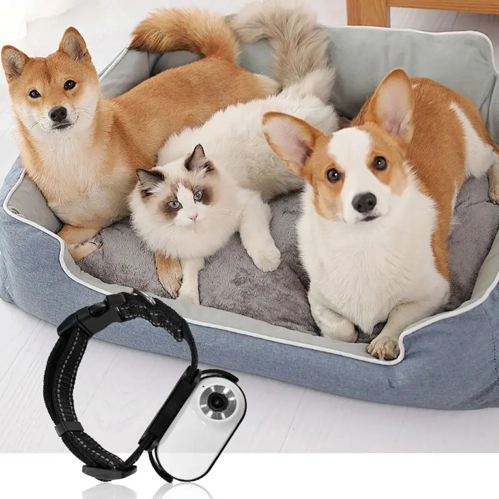 120 Deg Lens Pet Collar Camera Adjustable Shockproof Design Dog Collar Camera Lightweight OTG Connection Outdoor Camera