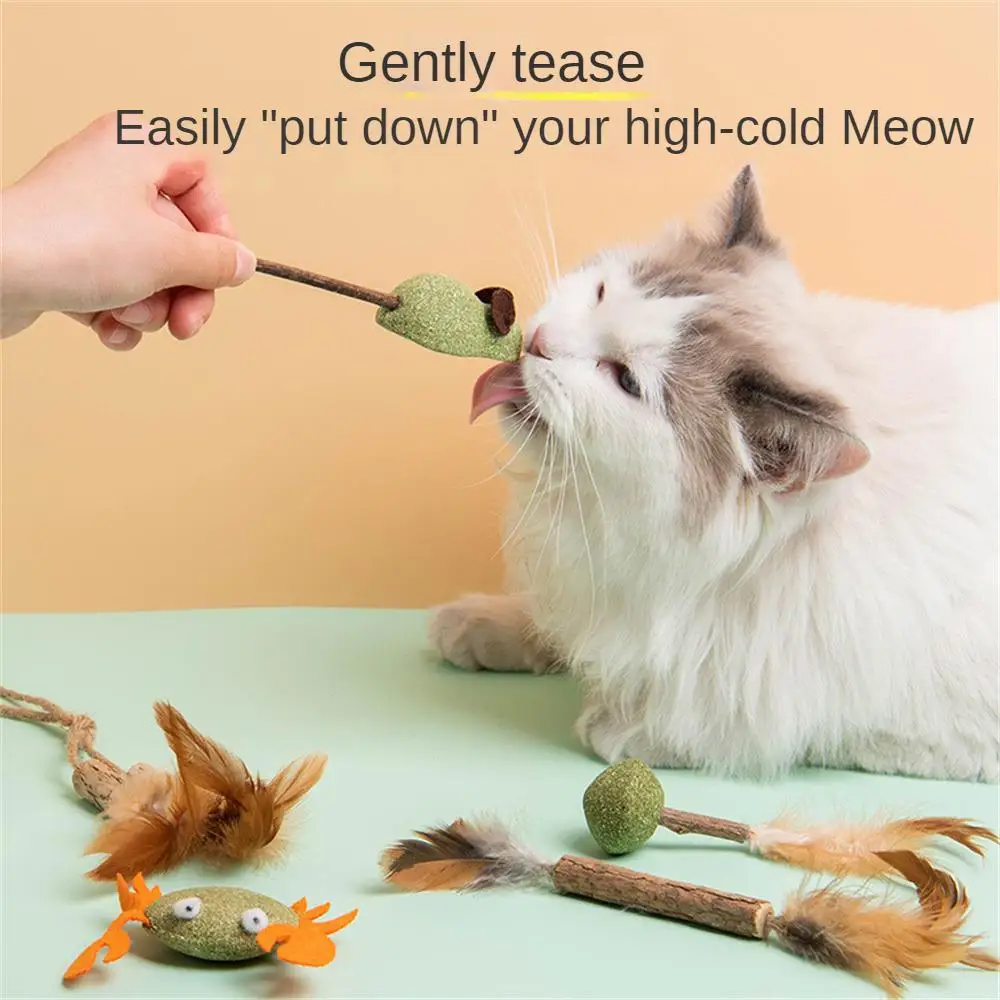 Pet Catnip Toys Edible Catnip Ball Safety Healthy Cat Mint Cats Home Chasing Game Toy Products Clean Teeth The Stomach Catmint