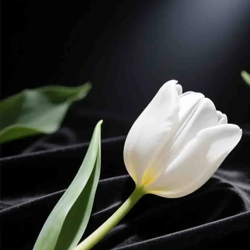 APEX 7 بوصة 315 مللي متر ألياف الكربون كوادكوبتر طقم إطارات 5.5 مللي متر الذراع ل FPV حرة RC سباق الطائرة بدون طيار لتقوم بها بنفسك Acessorios RC #1