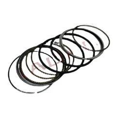 Engine Piston Ring For DFSK Glory 330 360 500 580 560