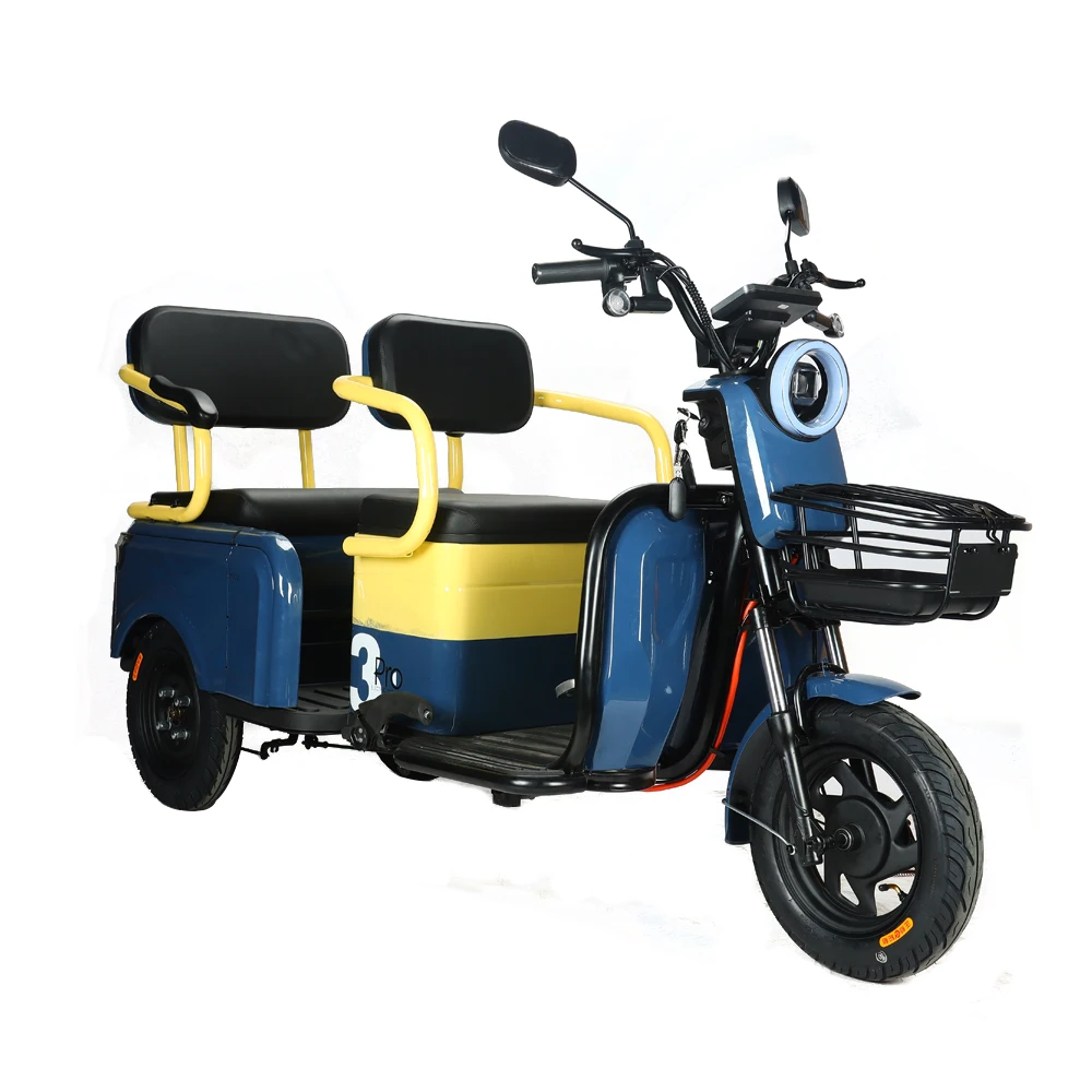 Hot Sale 650W Electric Trike 3 Wheel Electric Bicycle Adult Cargo Electric Tricycle With Basket
