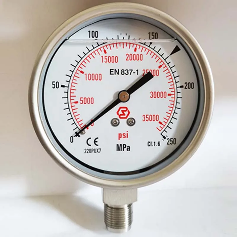 300Mpa 250Mpa 200Mpa High Pressure Impact Resistant Stainless Steel Pressure Gauge 160Mpa Pressure Gauge