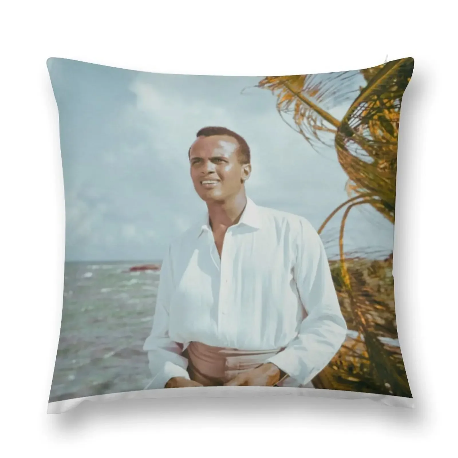 

Harry Belafonte vintage Throw Pillow Christmas Pillows Cushion Cover For Sofa pillow