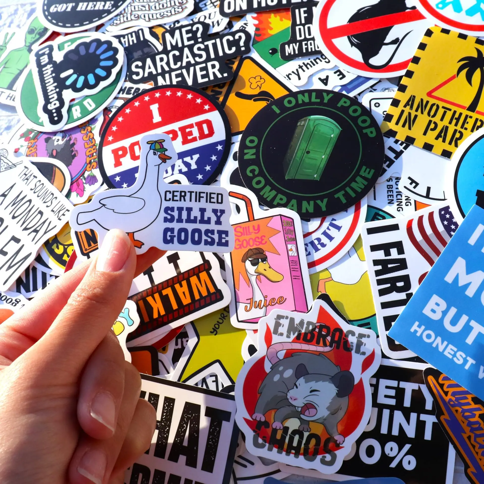 50PCS Funny Snarky Meme Stickers Cartoon Decals Decoration DIY Notebook Fridge Phone Bike Laptop Guitar Graffiti Stickers