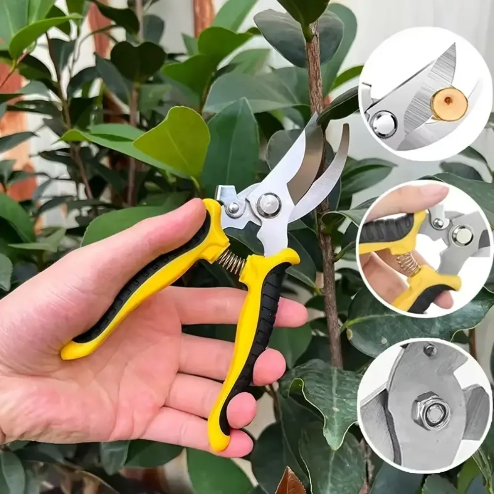

Horticultural Scissors Bird Beak Shape Branch Pruning Labor Saving Pruning Stainless Steel Picking Multifunctional Fruit Scissor