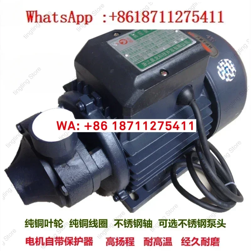 Water Pump 15DW750 Watt High Pressure Pump Steam Generator Electric Heating Pellet Boiler Water Pump Accessories