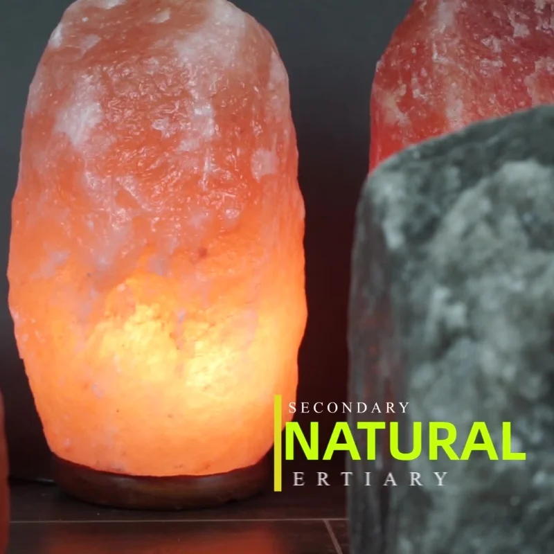 Himalayan luminous salt lamp with dimmer switch, indoor atmosphere lamp, yoga lamp, handmade lamp, family and friend gift