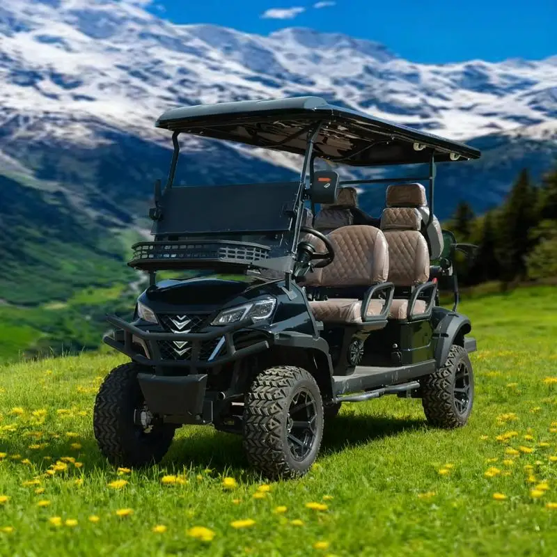 عربة جولف كهربائية احترافية مكونة من 6 مقاعد، نطاق 60 ميلًا، محرك قوي بقدرة 5000 وات، مثالية للمناطق الكبيرة والاستخدام التجاري #2