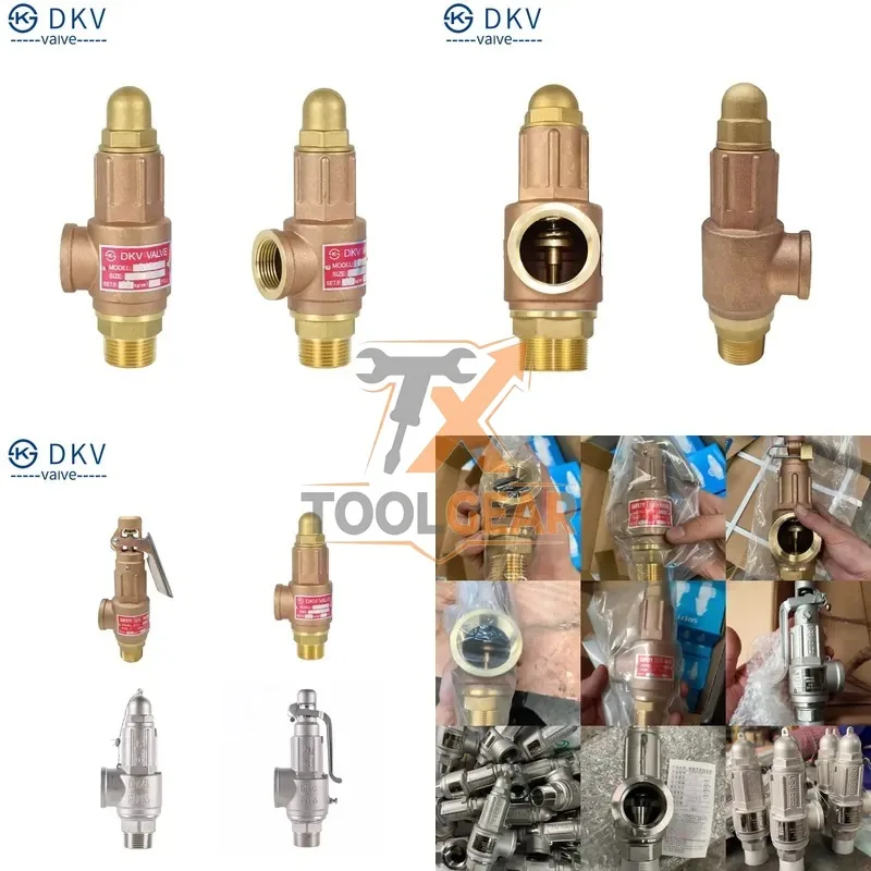 2026China*Factory* DKV Brass Adjustable Pressure Relief Valve BSP NPT Threaded Air Brass Steam Adjustable Safety Relief