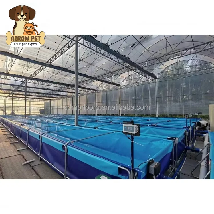 AIROW High Density Recirculating Aquaculture System Fish Tanks Large Fish Farming Ponds Pvc Fish Farm Tanks for Outdoor