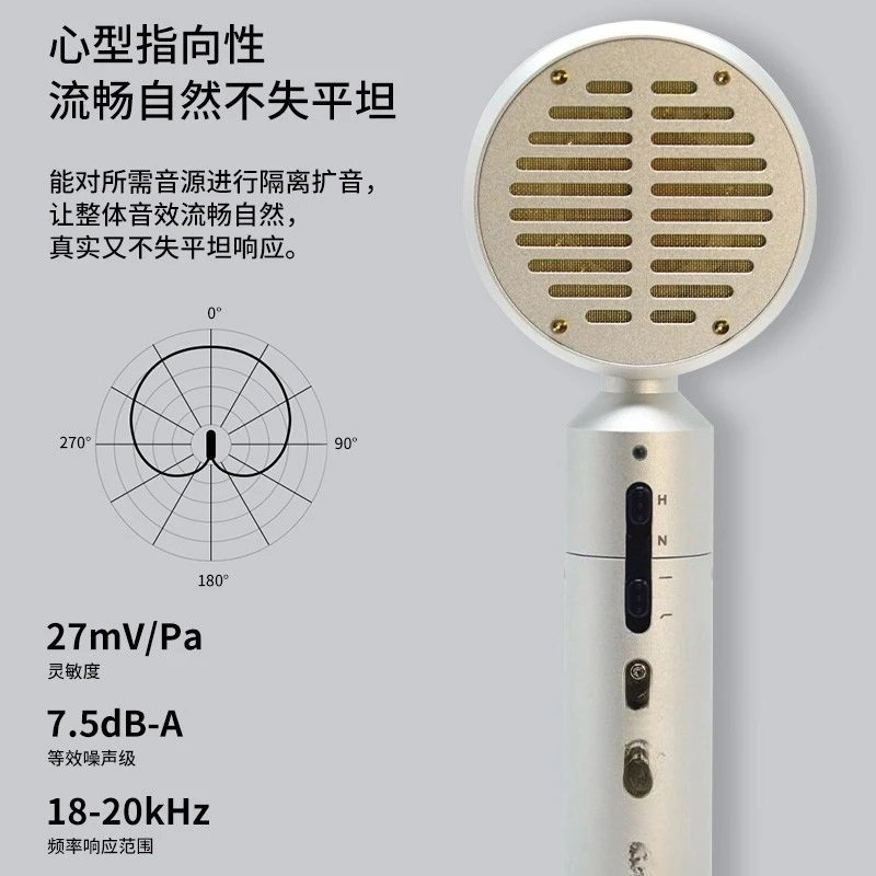 Large diaphragm condenser microphone PM98 professional recording live singing microphone