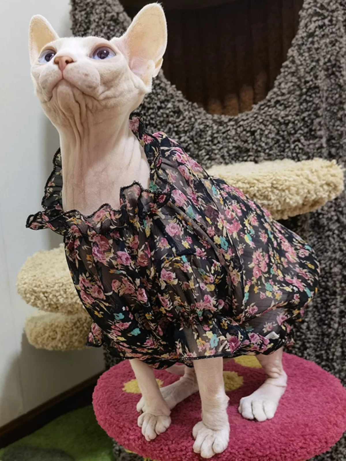 Chiffon Floral Dress for Sphynx Summer Sun Protection Shirt for Devon Rex Lightweight Breathable Cool Fabric Coat for Kittens