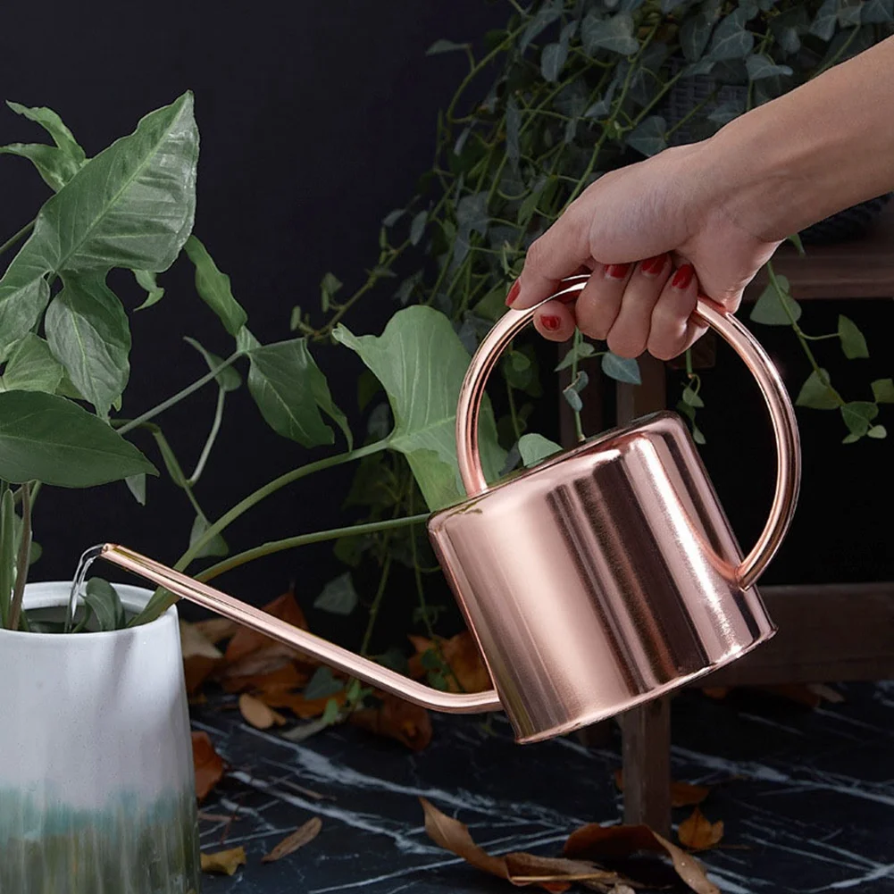 ABNM Stainless Steel Long Spout Kettle Ins Sprinkling Kettle Horticultural Household 1.2L Large Capacity Watering Pot