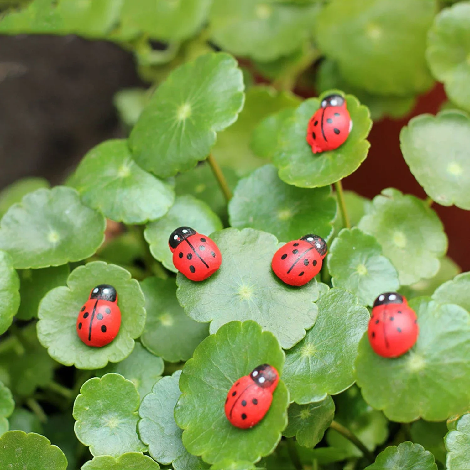 20Pc/Set Seven Stars Ladybird Miniature Ornament  Outdoor Gardening Moss Landscaping Decoration Crafts Products