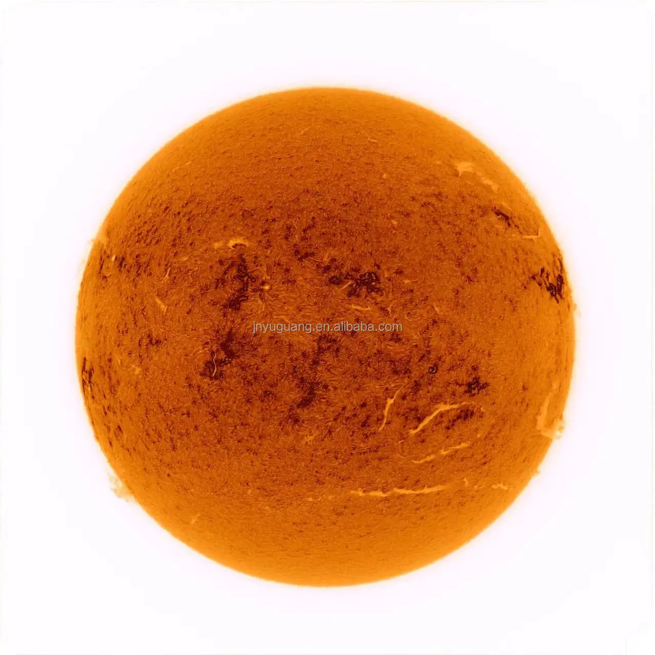 Acuter Elite Phoenix 40 40MM F/10 H-alpha SOLAR TELESCOPE Prominence Observation