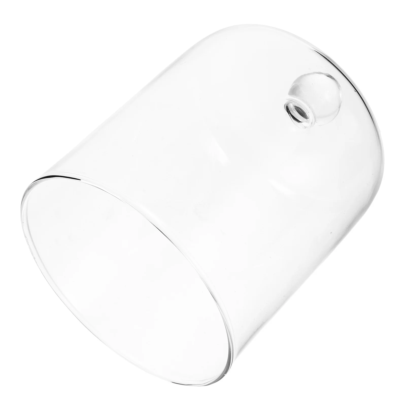 

Delicate Glass Cloche Dome Eternal Flower Cover Clear Display Dome for Dried Flowers Wedding Celebration Decor