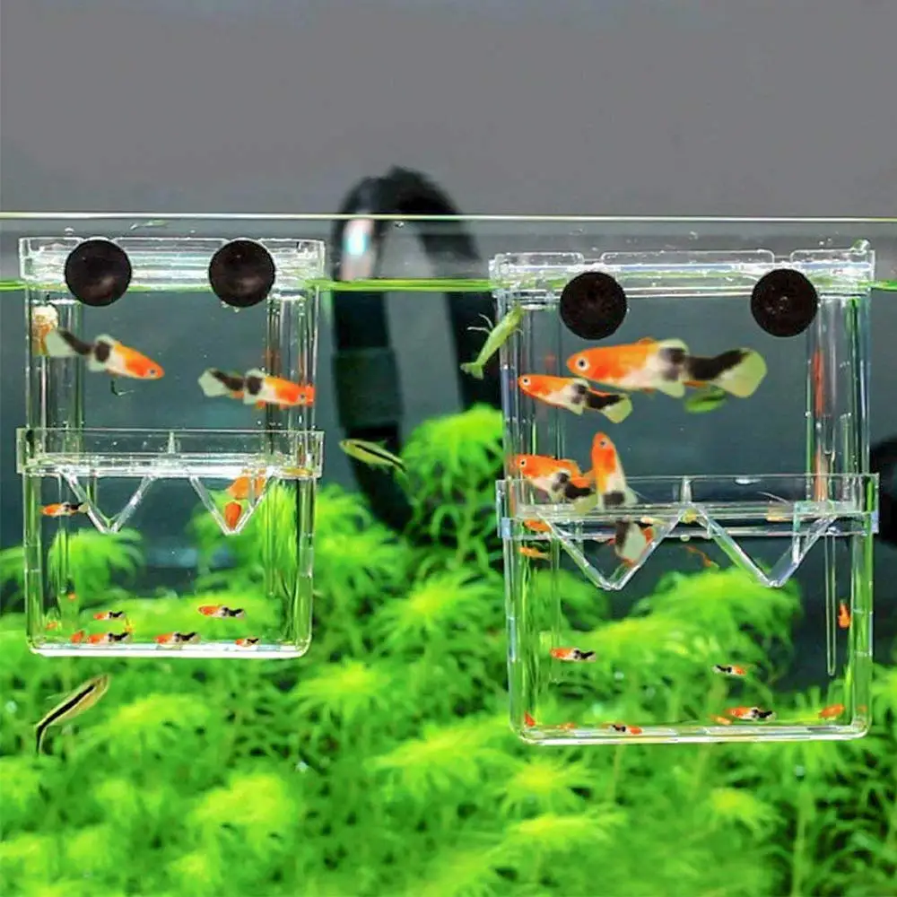 

New Aquarium Fish Breeder Box Durable Betta Fish Tank Fish Breeding Isolation Box Hatching Incubator Box For Baby Fish Shrimp