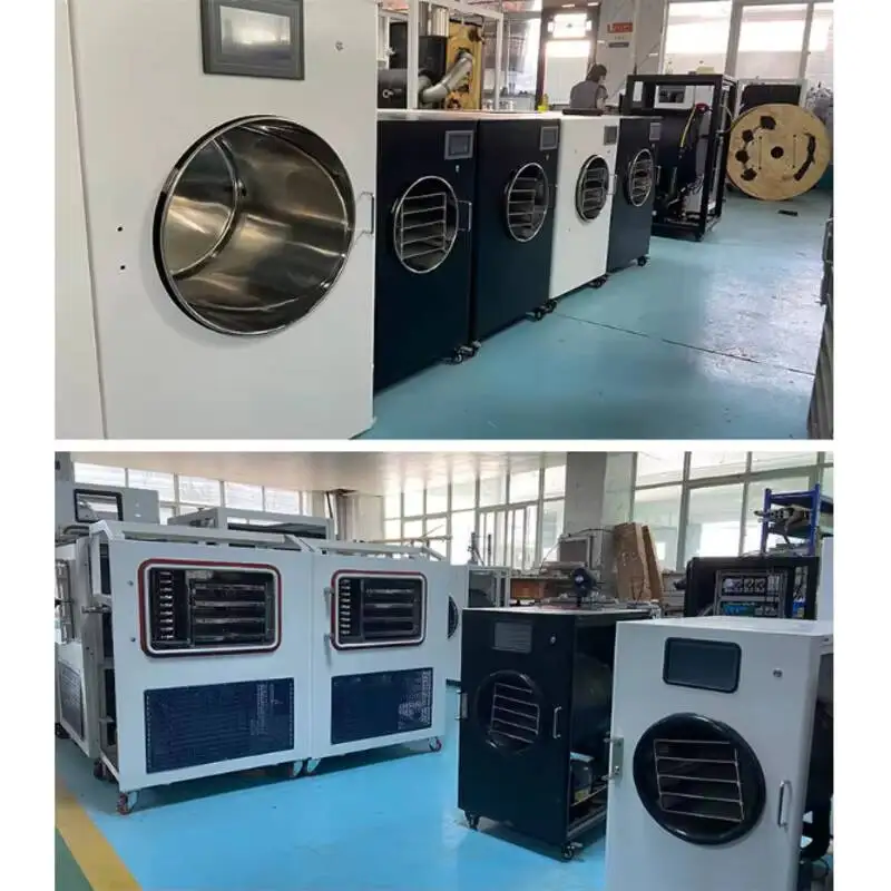 Industrial Freeze Drying Equipment for Food Processing with Intelligence Touch Screen Control High Safety Level SUS304 Material