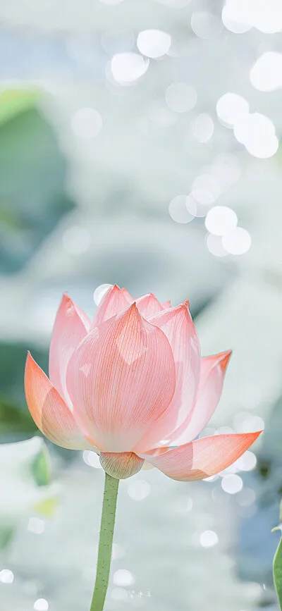 

RC Car Replace Swing Arm for WLtoys 104001 Car Model Spare Accessories Parts