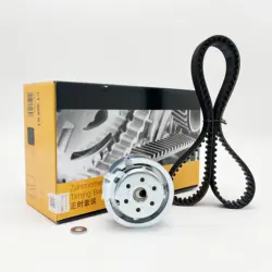 Kit de Tensor de correa de distribución para Audi, A4, B6, B7, A3, VW, Caddy, MK3, Bora, Golf, Jetta, Mk5, MK6, Passat, Polo, 1,6, 2,0, 06A109479F, 06A109119