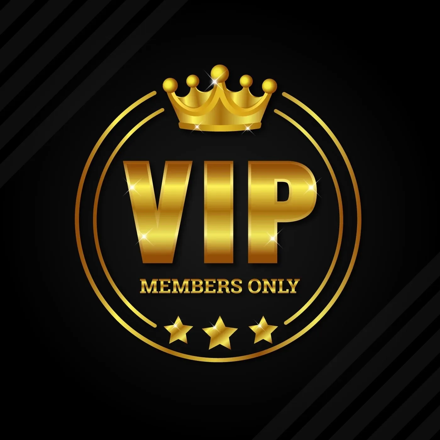 Special Payment for Vip Customers According To The Products and Prices We Have Negotiated