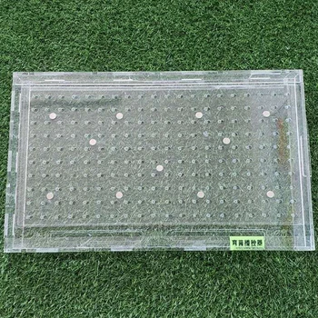 플루큐어 담배 브라시카 올레라세아, 양배추고추, 브로콜라이, 소형 입자 시드 플로트 플레이트 시더, 주문형 