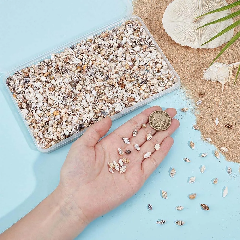 Tiny Sea Shells Tiny Shells Miniature Shell Seashells Ocean Spiral Seashells for Resin Crafting Candle Home 20g about 100pcs
