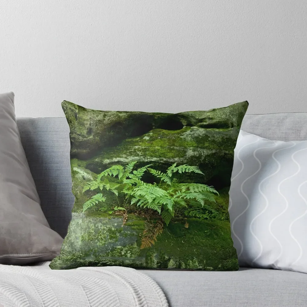 

Fern and Rocks Throw Pillow Cushions For Children Decorative Cushion Cover Christmas Pillow Cases Cushion Cover For Sofa pillow