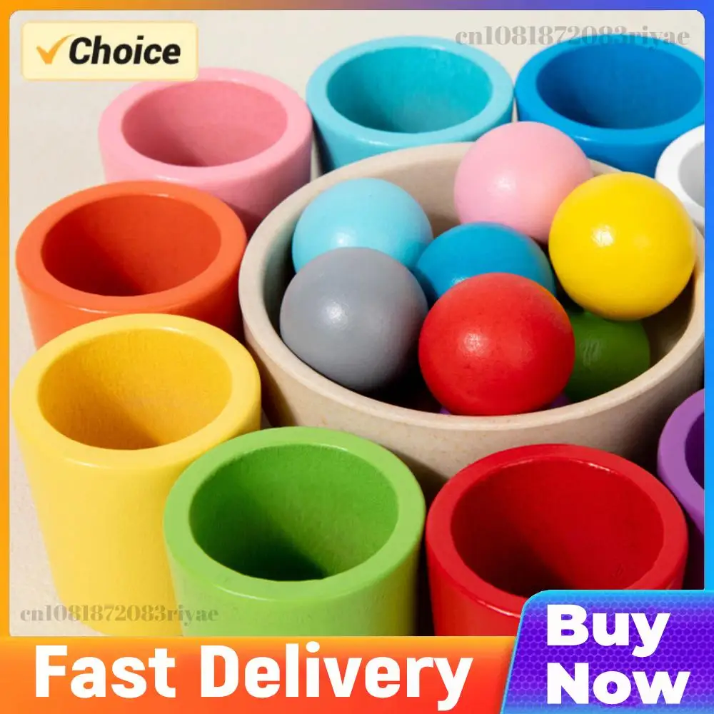 Rainbow Balls in Cups Wooden Matching Game Learning Color Sorting & Counting Activities Ball Montessori Toy for Toddlers