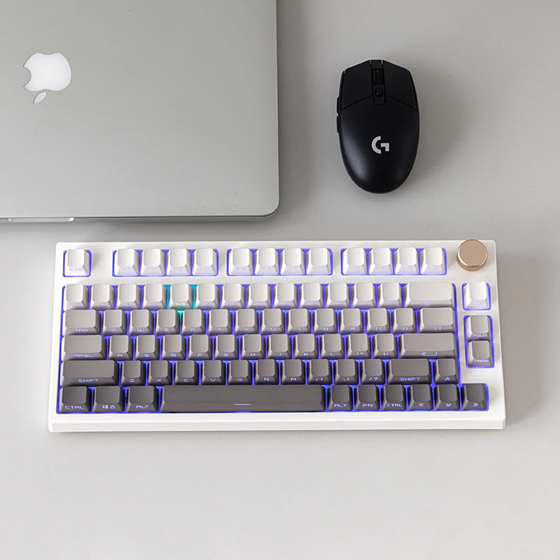 134 Keys PBT Grey Gradient Keycaps OEM Backlit Transparent Win Mac Side Top Print GK61 68 75 80 96 98 100 Mechanical Keyboard