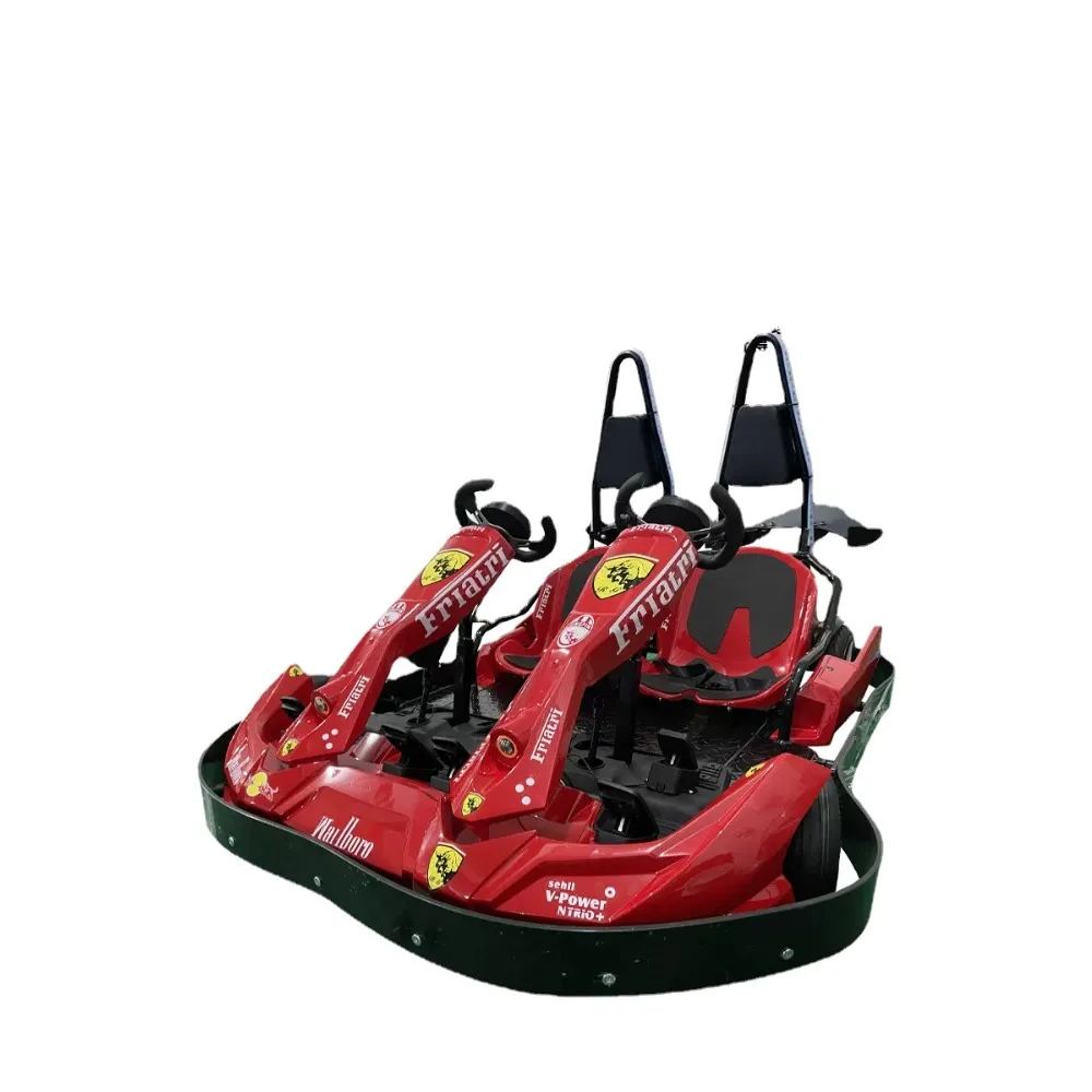 High Speed Go Kart Electric Go Kart Karting Cars for Sale Racing Go Kart Double People Style