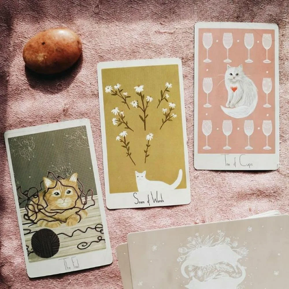 10.3*6cm Tarot de gato considerado 78 peças cartas um baralho de tarô com tema de gato caprichoso inspirado nas histórias de resgate de gatos