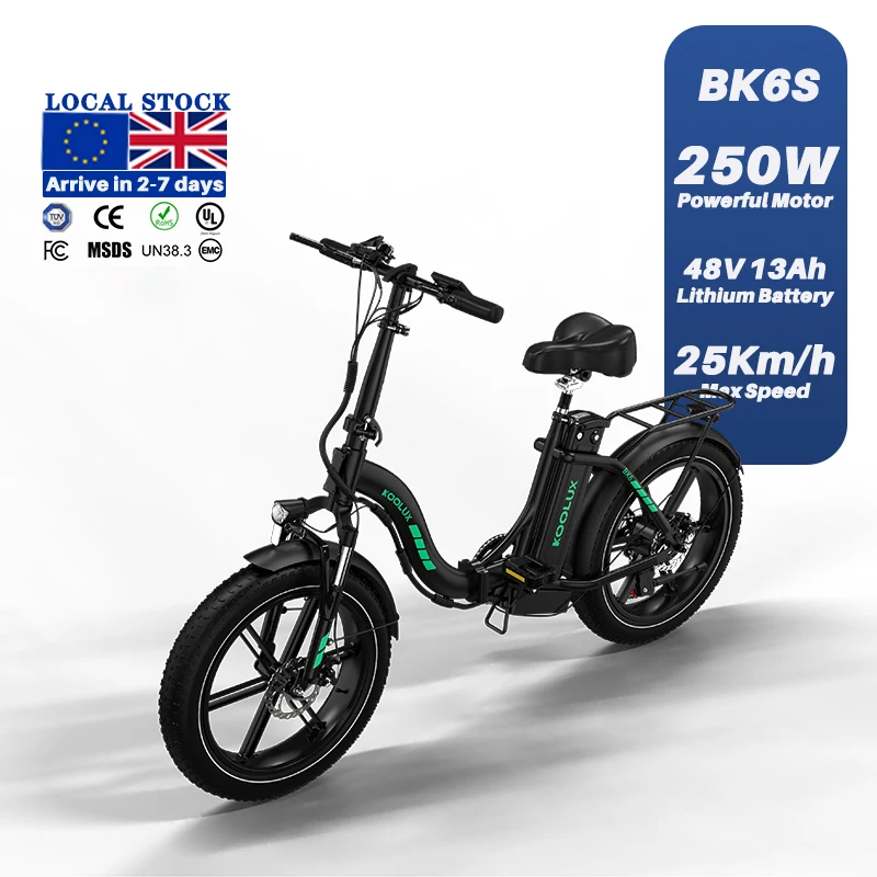 250W Electric Folding Ebike 48V City EBike With Disc Brake And 7 Speed Gears 20inch Boombike With Rear Carrier Battery