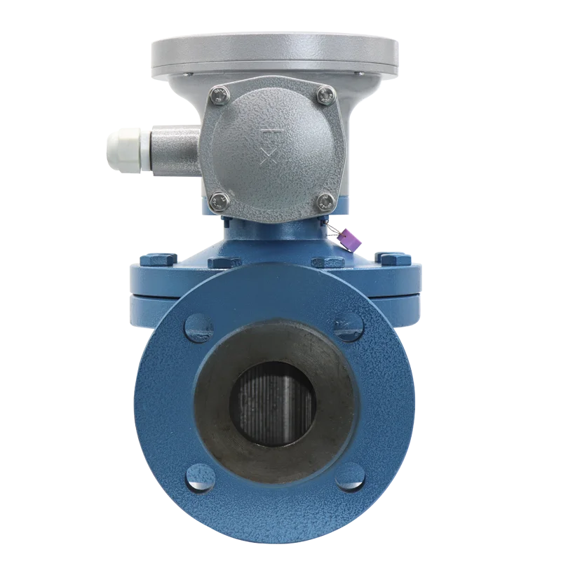DN50 High Viscosity 24V Rs485 DN80 Flow Meter Coconut Oil Oval Gear Level Measuring Instrument